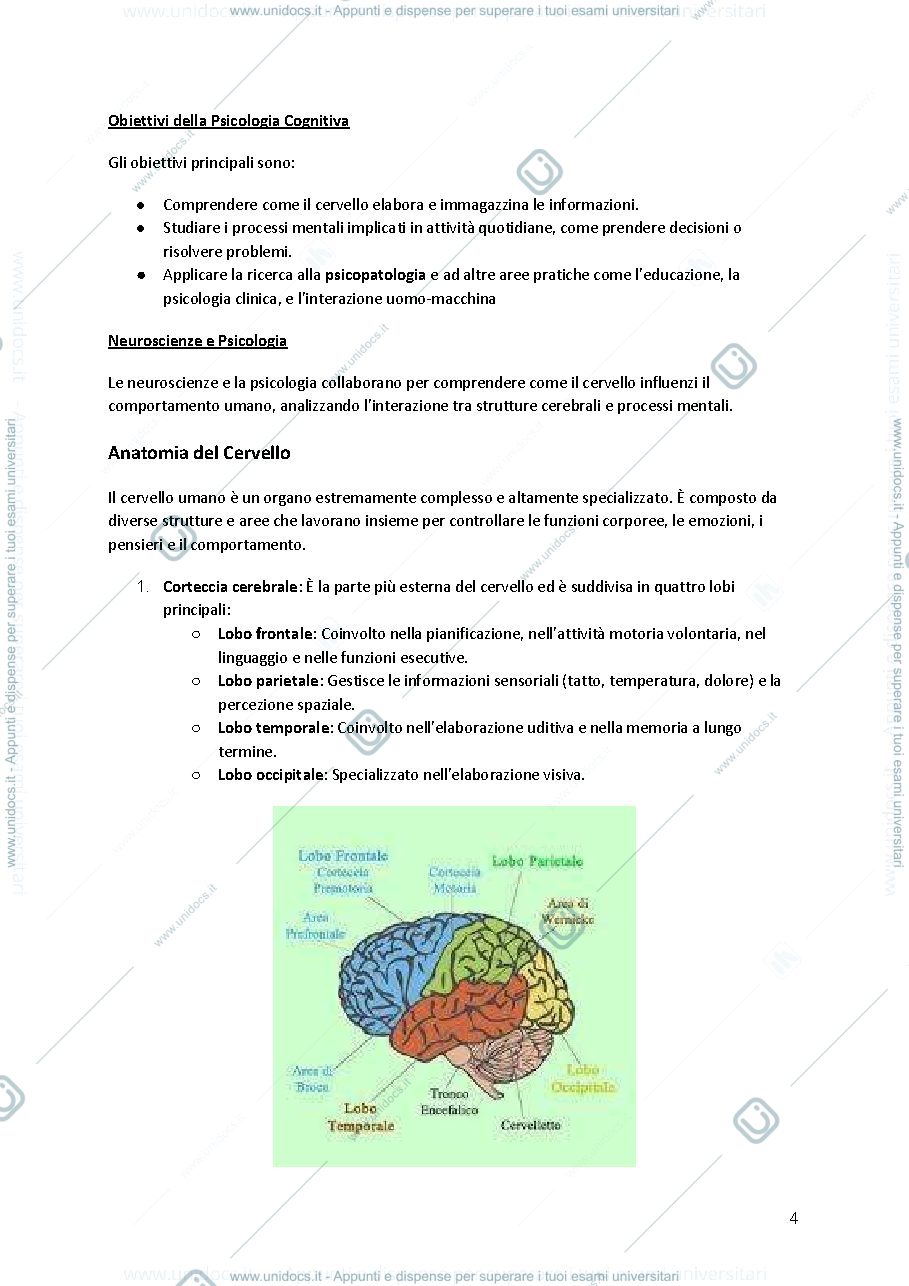 Anteprima pagina 4 — PSICOLOGIA DEI PROCESSI COGNITIVI:TEORIE E METODI