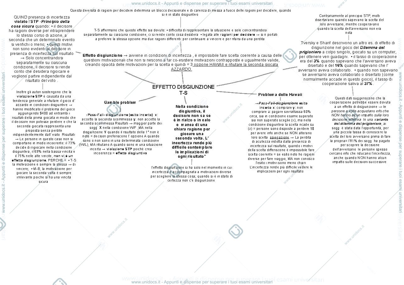 Anteprima pagina 2 — mappe concettuali 