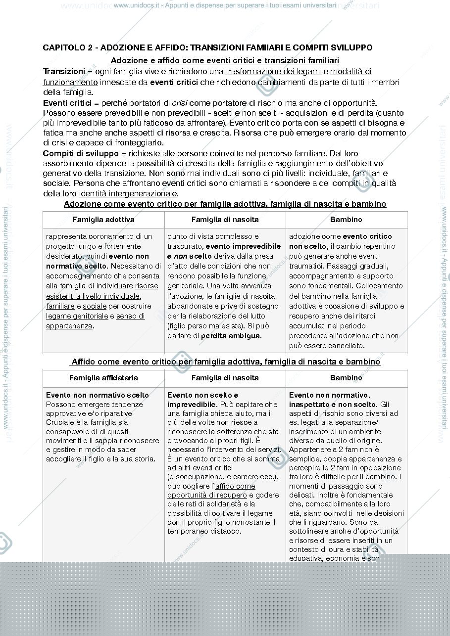 Anteprima pagina 3 — Psicologia dell'adozione e dell'affido 