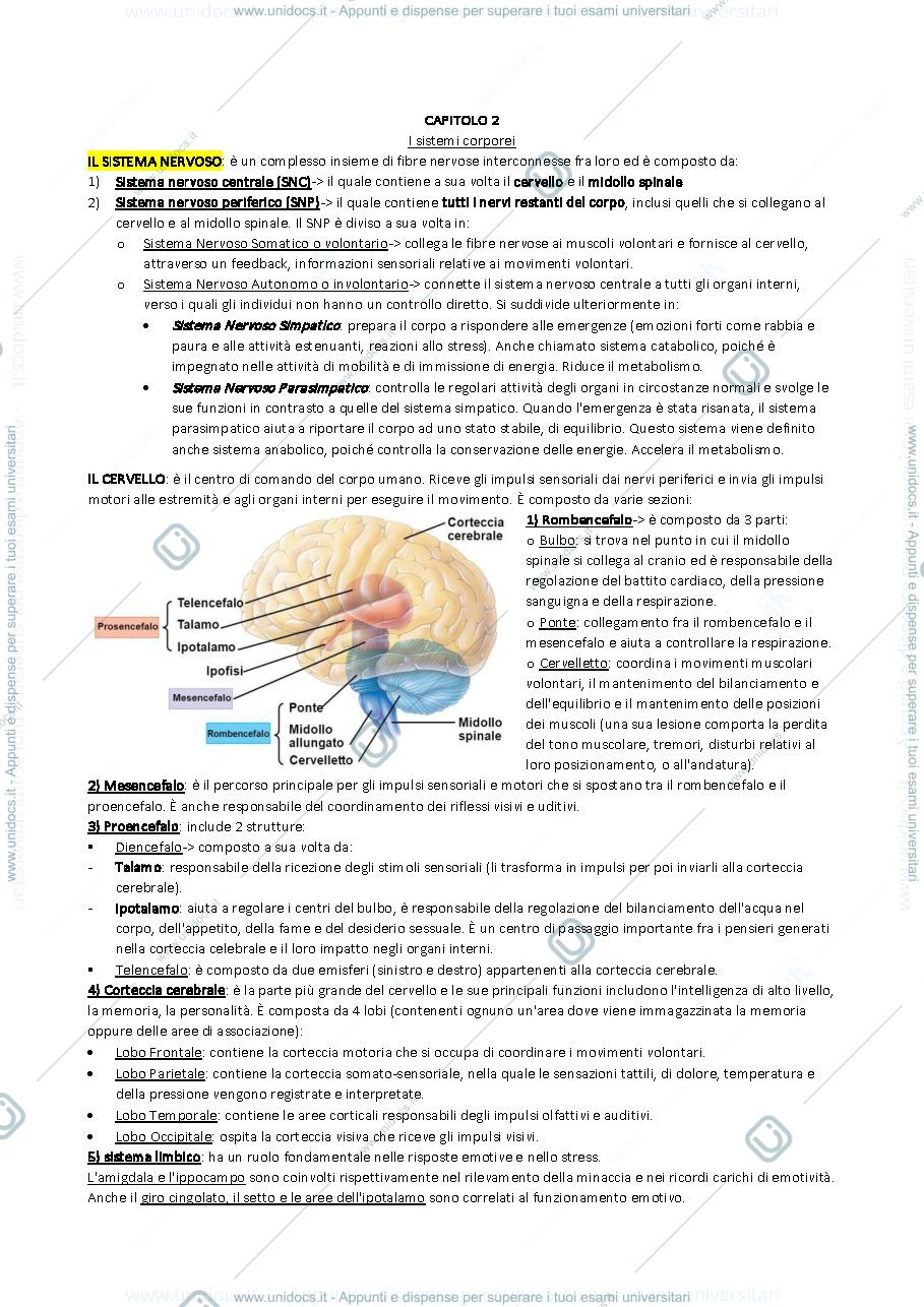 Anteprima pagina 3 — Riassunto libro "Health Psychology (10th edition)" di Taylor 