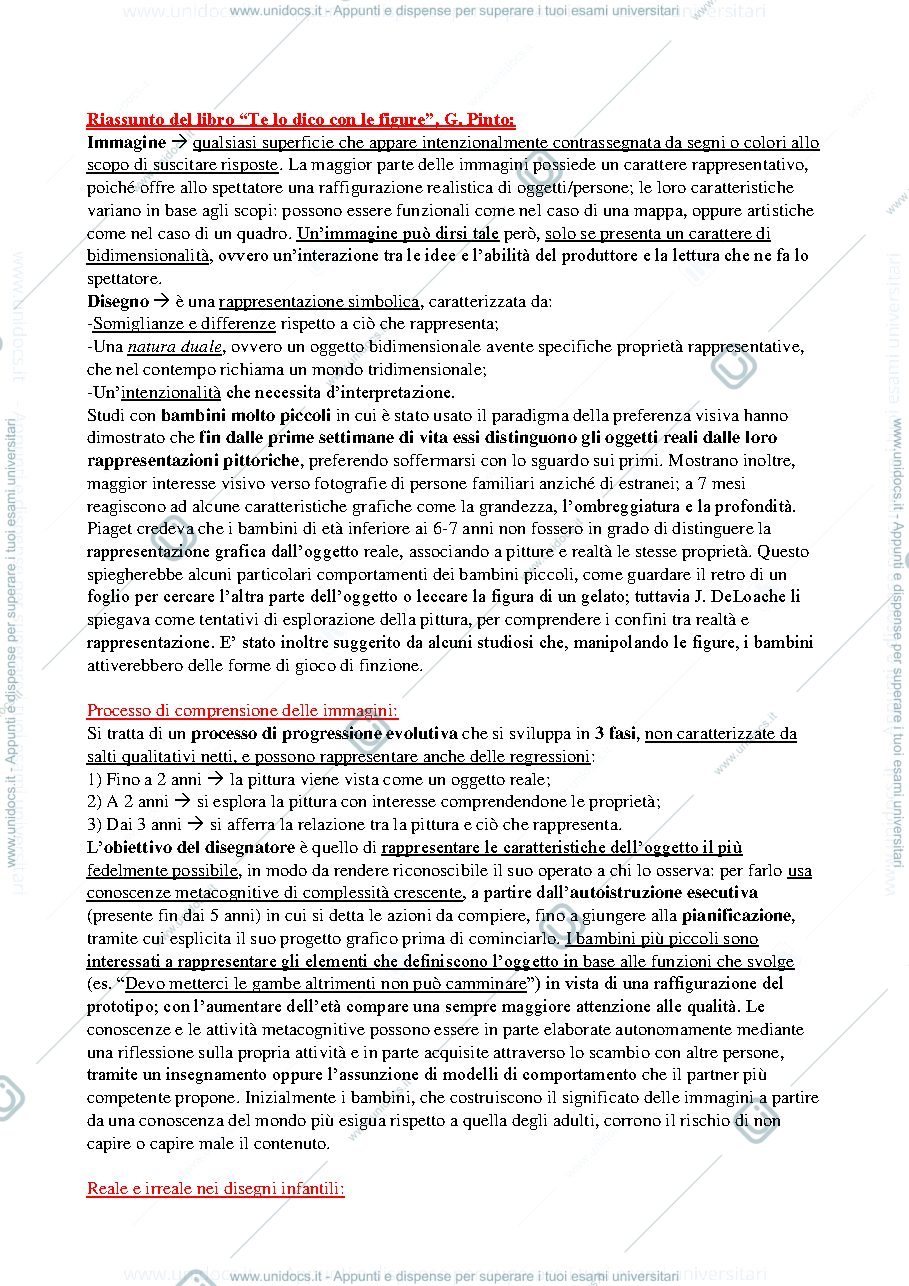 Anteprima pagina 1 — Riassunto "Te lo dico con le figure", G. Pinto