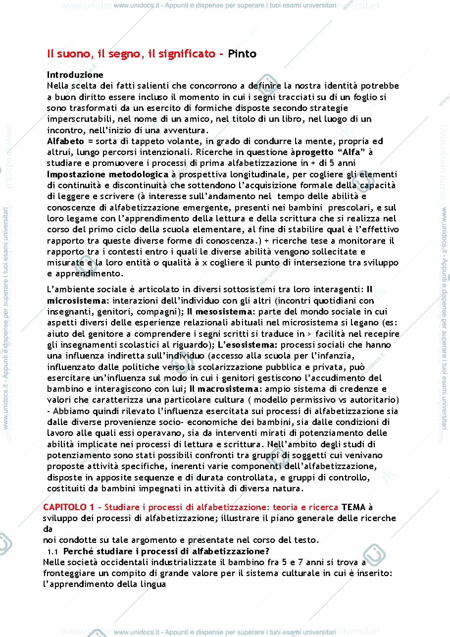 Anteprima pagina 1 — Riassunto "Il suono, il segno e il significato" (Pinto)