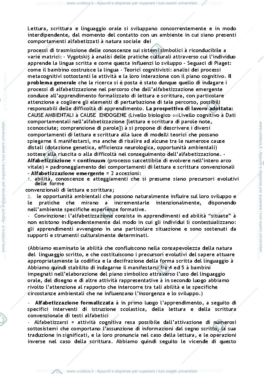 Anteprima pagina 3 — Riassunto "Il suono, il segno e il significato" (Pinto)