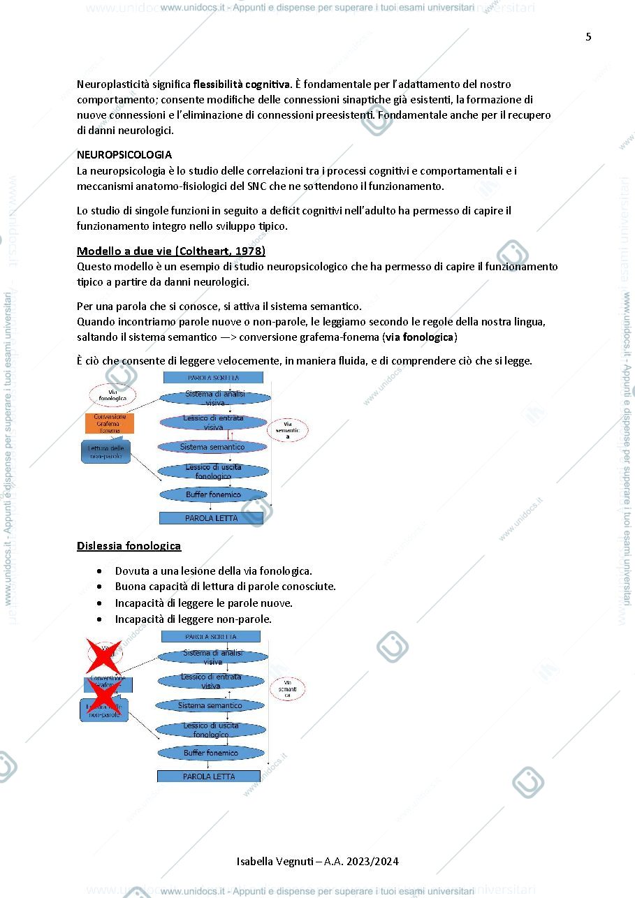 Anteprima pagina 5 — psicologia dello sviluppo