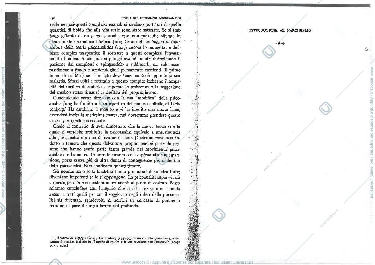 Anteprima pagina 1 — Introduzione al narcisismo 