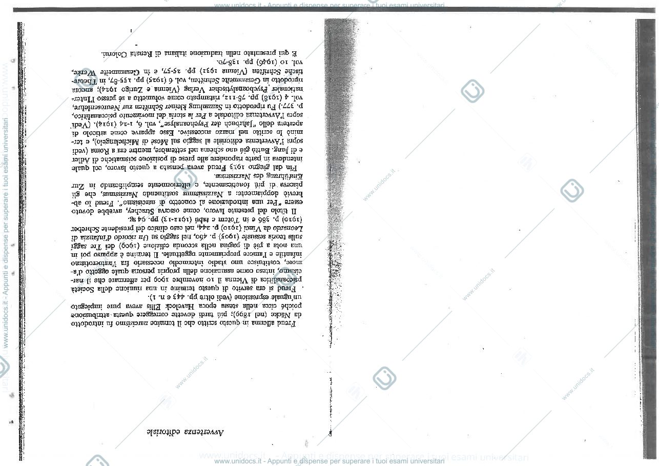 Anteprima pagina 2 — Introduzione al narcisismo 
