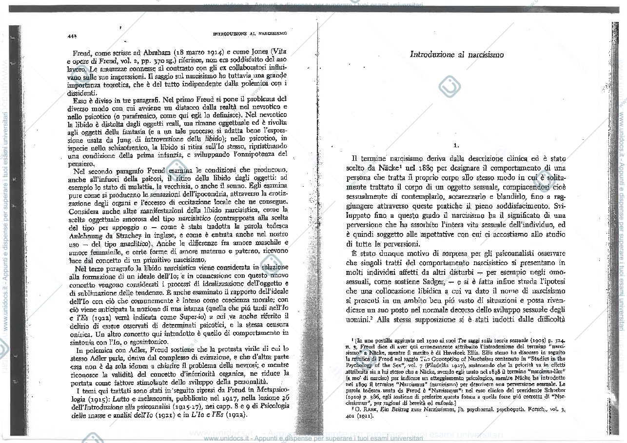 Anteprima pagina 3 — Introduzione al narcisismo 