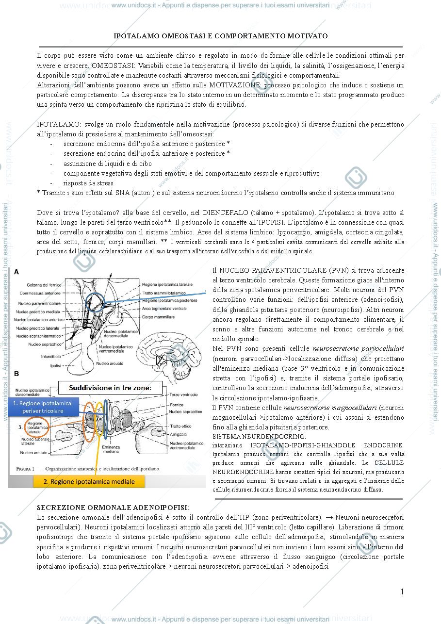 Anteprima pagina 1 — psicologia fisiologica-comportamenti motivati