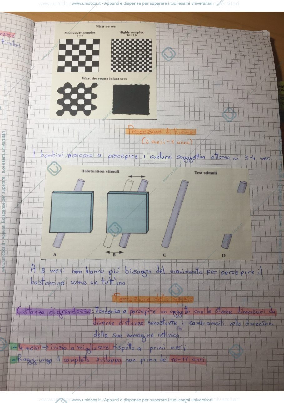 Anteprima pagina 2 — Attenzione e percezione