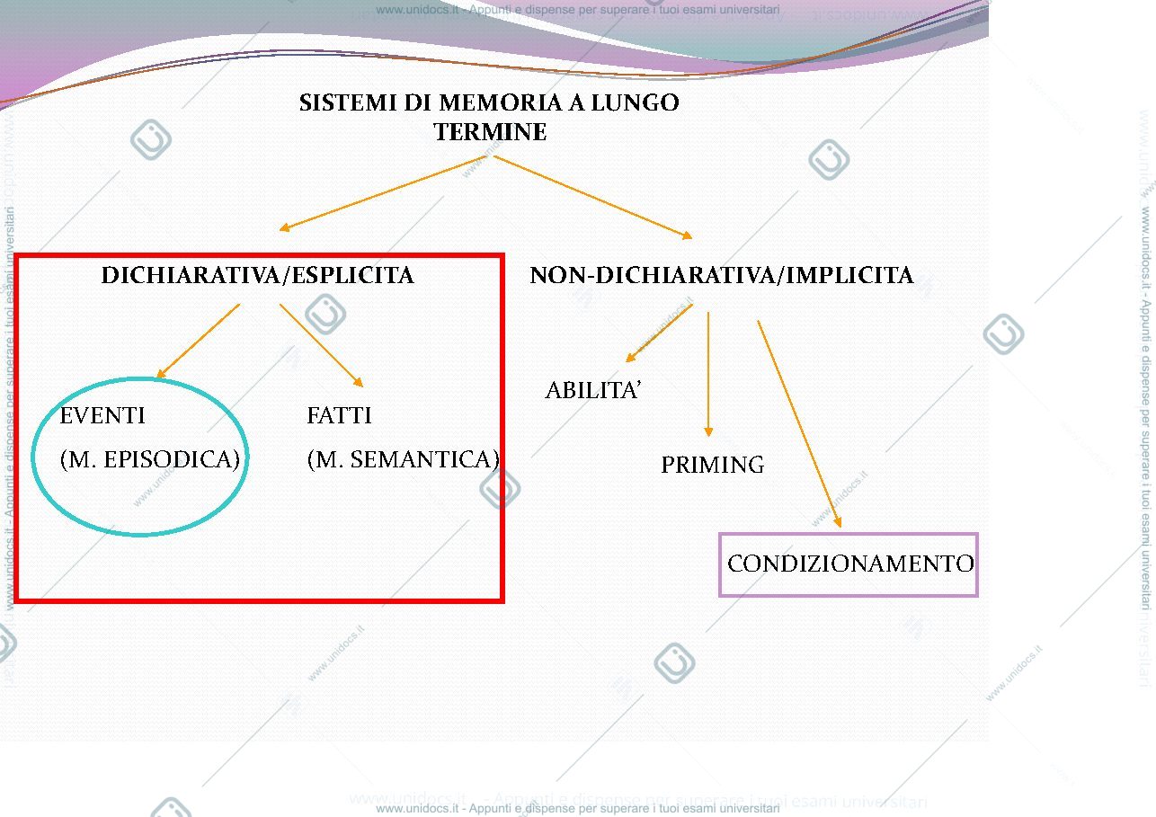 Anteprima pagina 2 — memoria nell'infanzia