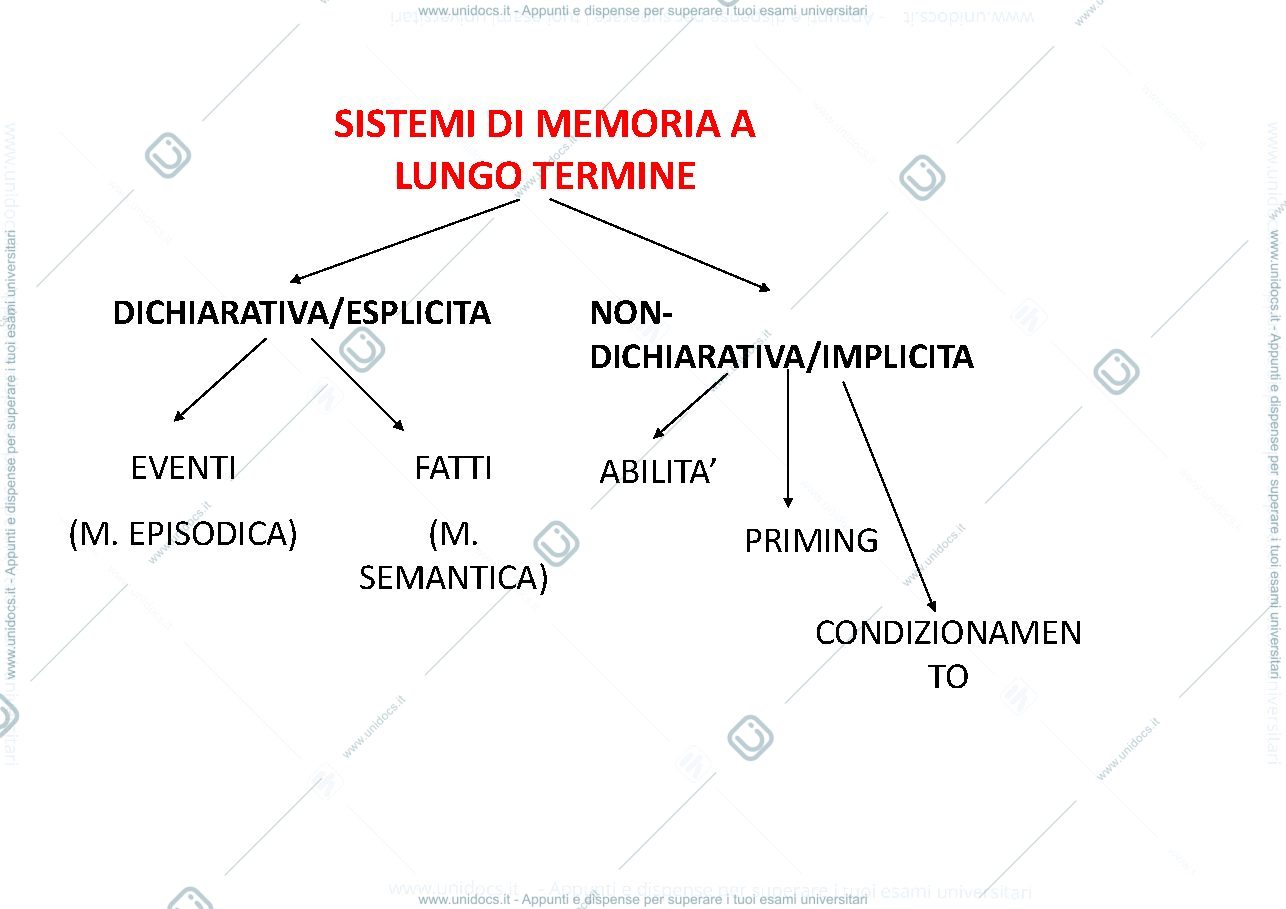 Anteprima pagina 2 — memoria a lungo termine