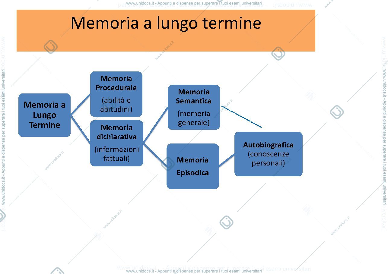 Anteprima pagina 3 — memoria a lungo termine