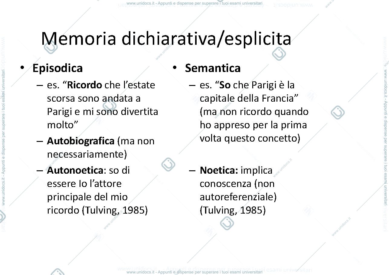 Anteprima pagina 4 — memoria a lungo termine