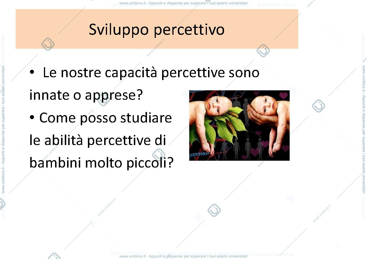 Anteprima pagina 2 — sviluppo percettivo