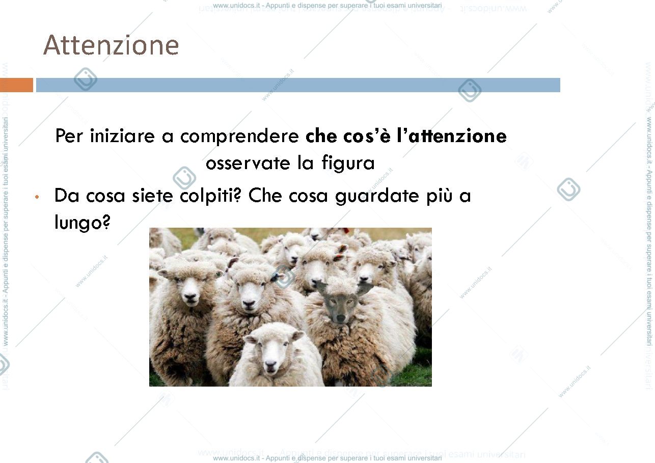 Anteprima pagina 2 — attenzione e percezione