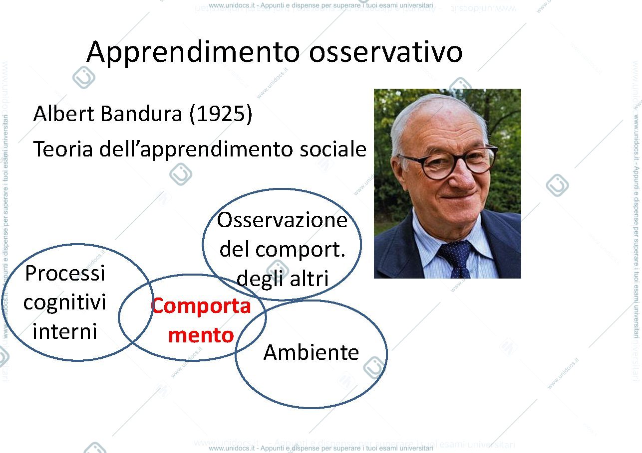 Anteprima pagina 1 — apprendimento osservativo