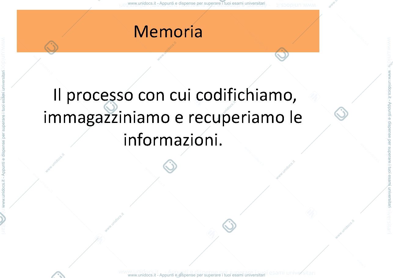 Anteprima pagina 2 — apprendimento e memoria
