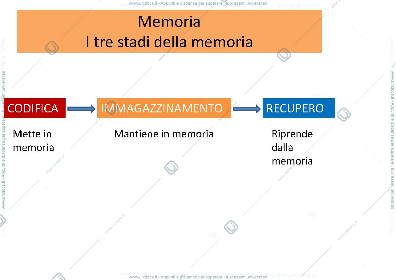 Anteprima pagina 3 — apprendimento e memoria