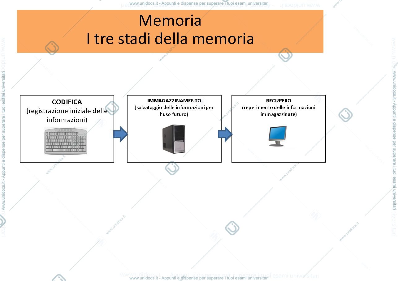 Anteprima pagina 4 — apprendimento e memoria