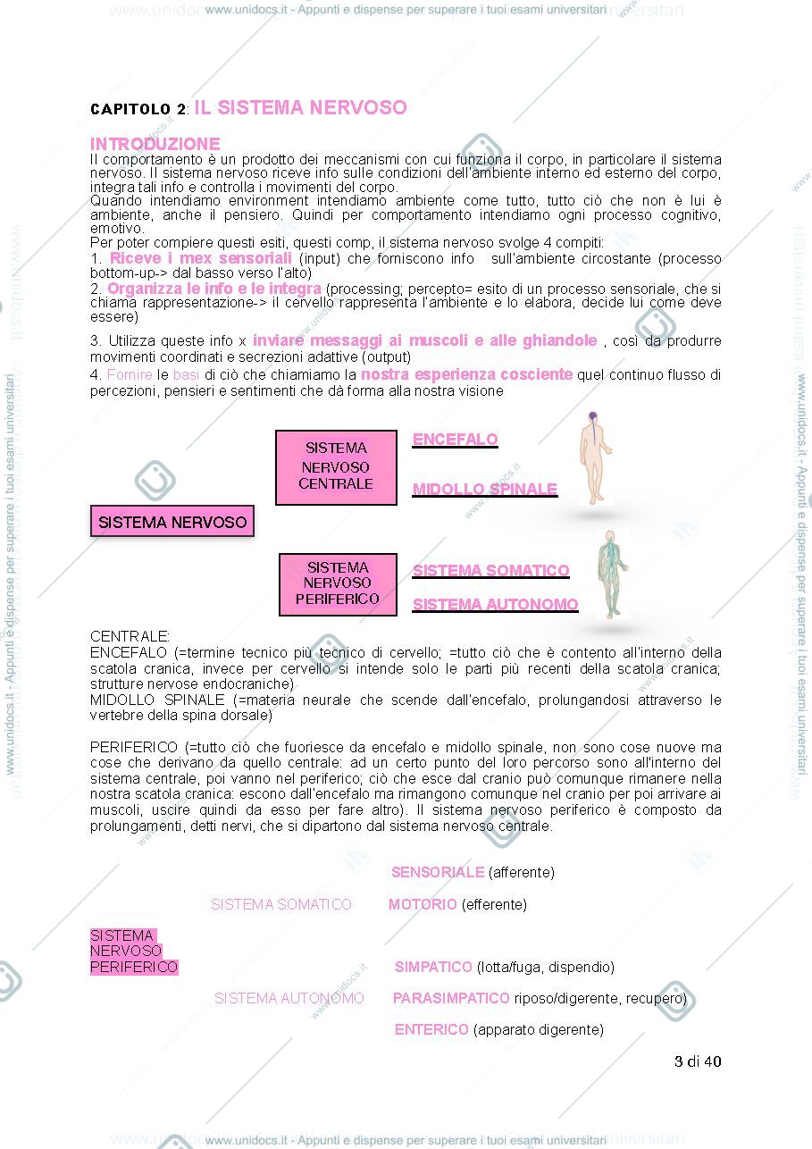 Anteprima pagina 3 — psicologia generale 