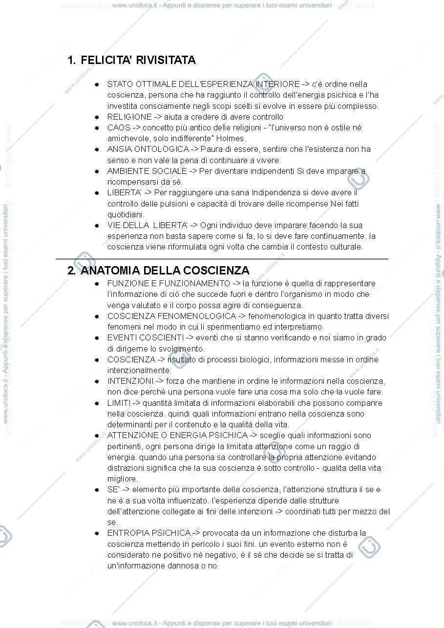 Anteprima pagina 1 — concetti fondamentali libro "flow"