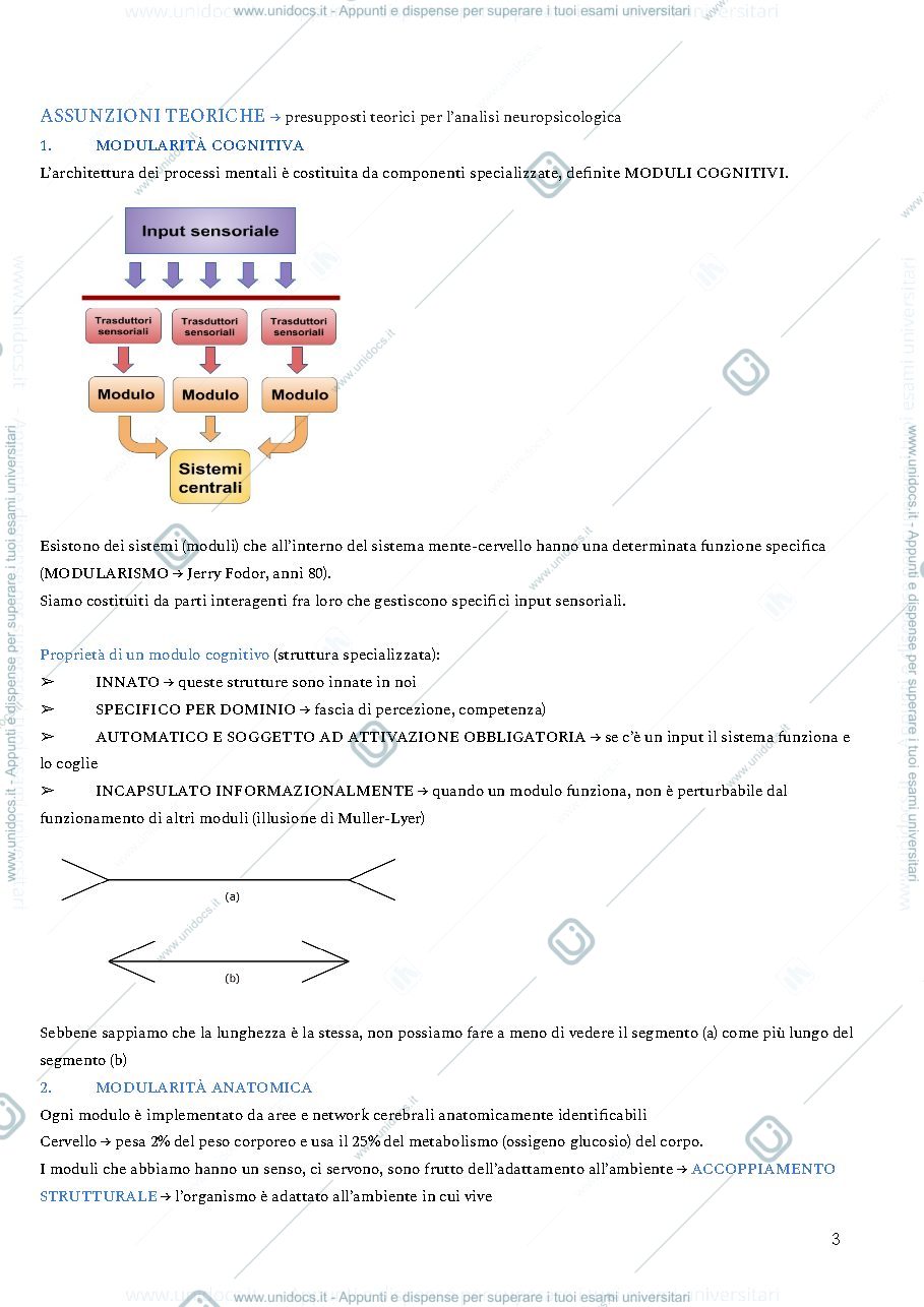 Anteprima pagina 3 — Psicologia generale appunti completi