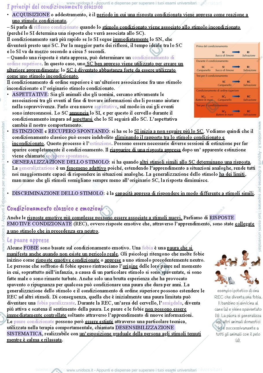Anteprima pagina 2 — Capitolo 6