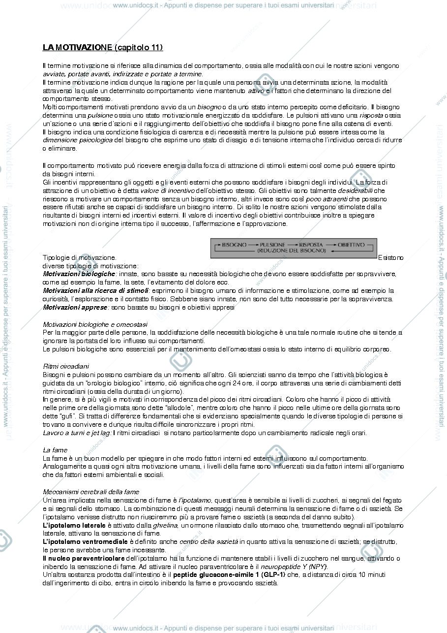 Anteprima pagina 1 — La motivazione