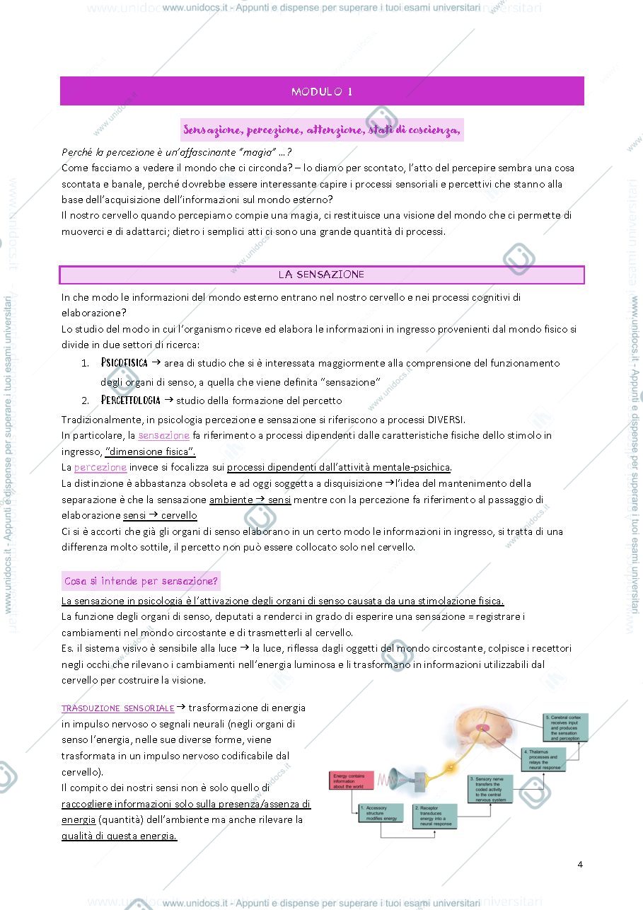 Anteprima pagina 5 — psicologia generale 