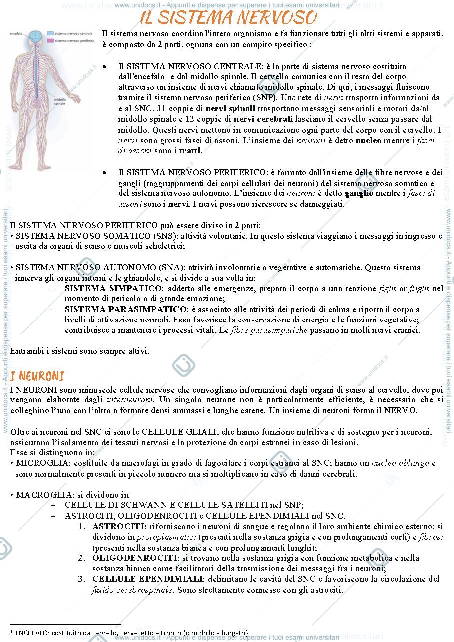 Anteprima pagina 1 — Capitolo 2