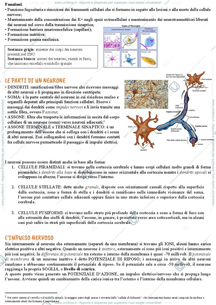 Anteprima pagina 2 — Capitolo 2