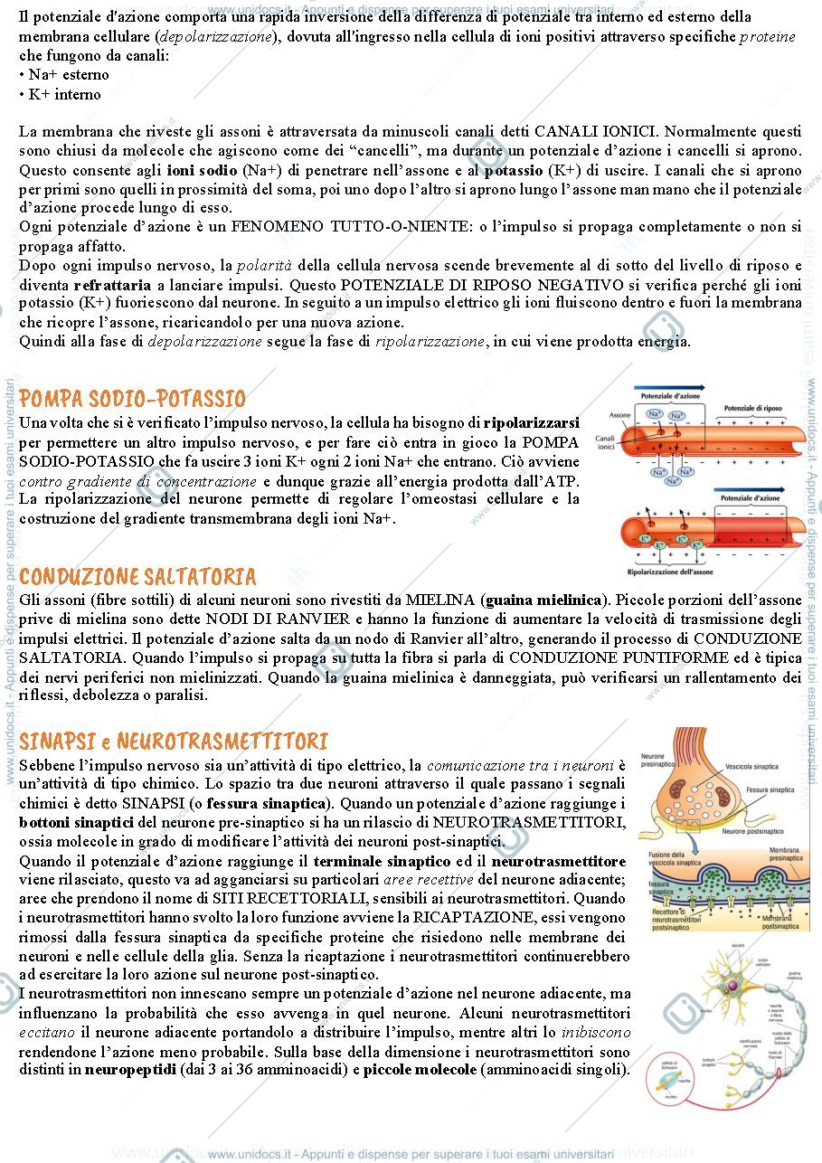 Anteprima pagina 3 — Capitolo 2