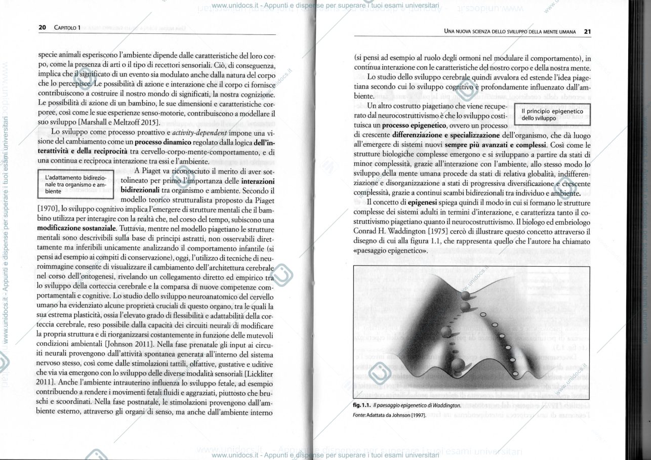 Anteprima pagina 4 — Promuovere lo sviluppo della mente