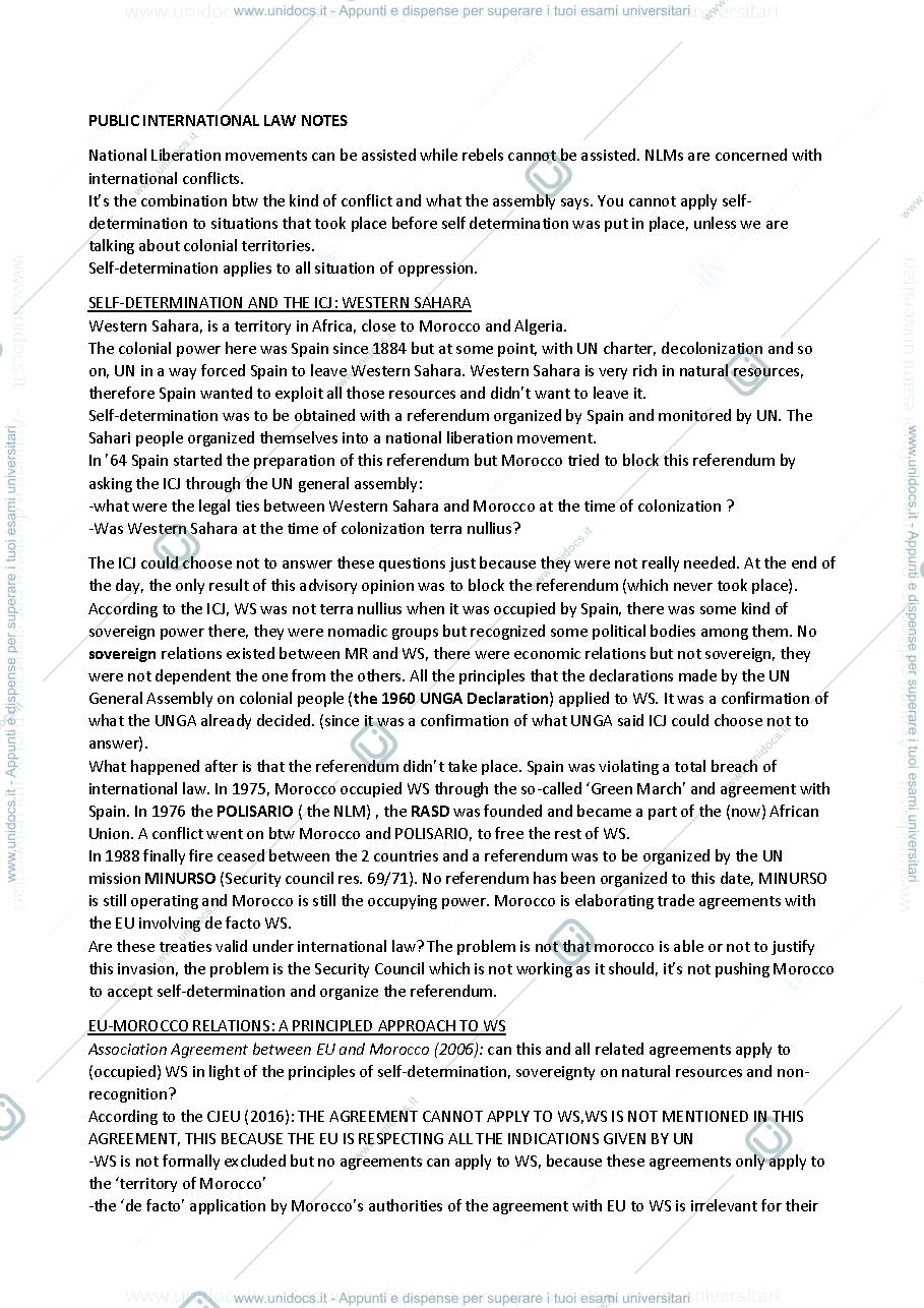 Anteprima pagina 1 — PUBLIC INTERNATIONAL LAW 