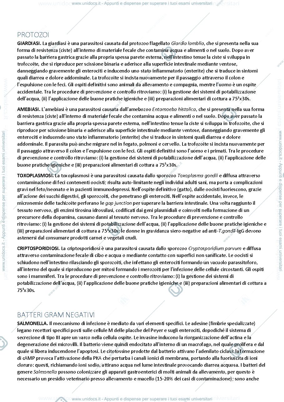 Anteprima pagina 2 — QUALITÀ E SICUREZZA MICROBIOLOGICA DEI SISTEMI ALIMENTARI