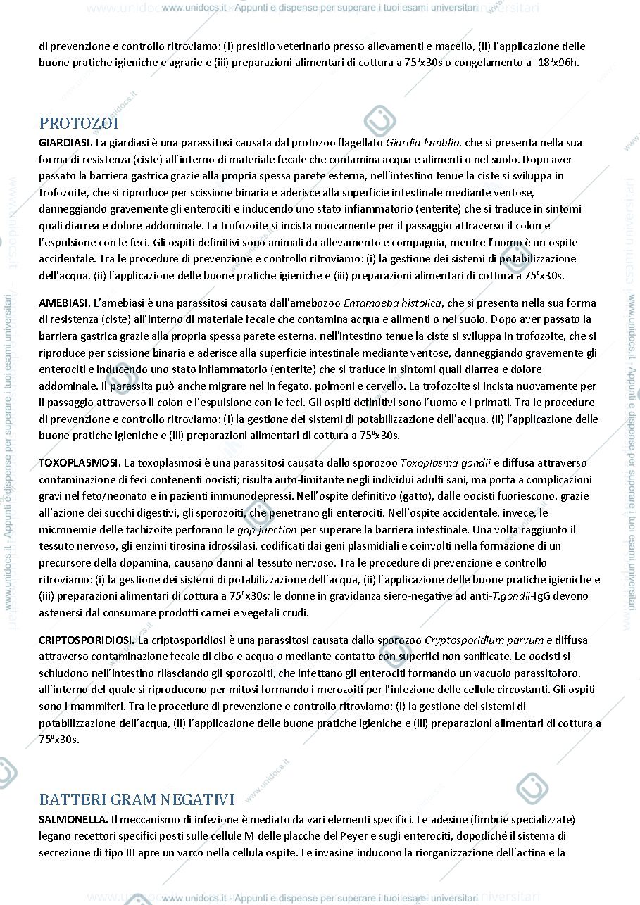 Anteprima pagina 2 — QUALITÀ E SICUREZZA MICROBIOLOGICA NEI SISTEMI ALIMENTARI ED ECOLOGIA DEL MICROBIOTA UMANO