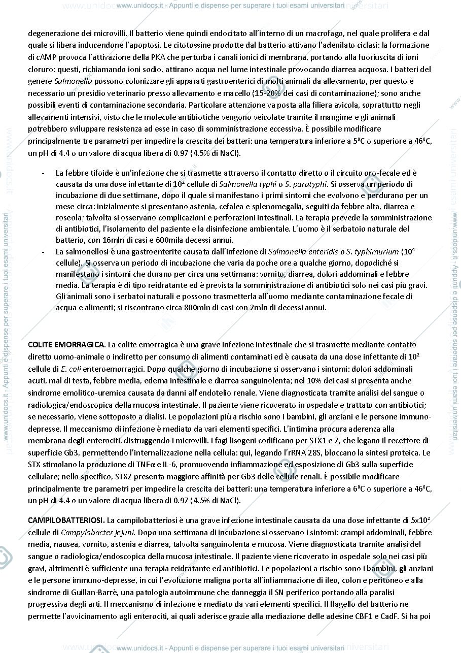 Anteprima pagina 3 — QUALITÀ E SICUREZZA MICROBIOLOGICA NEI SISTEMI ALIMENTARI ED ECOLOGIA DEL MICROBIOTA UMANO