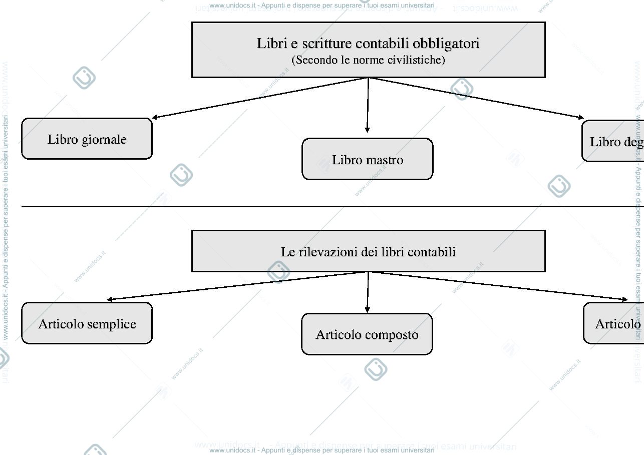 Anteprima pagina 1 — Mappa concettuale libri e scritture contabili.