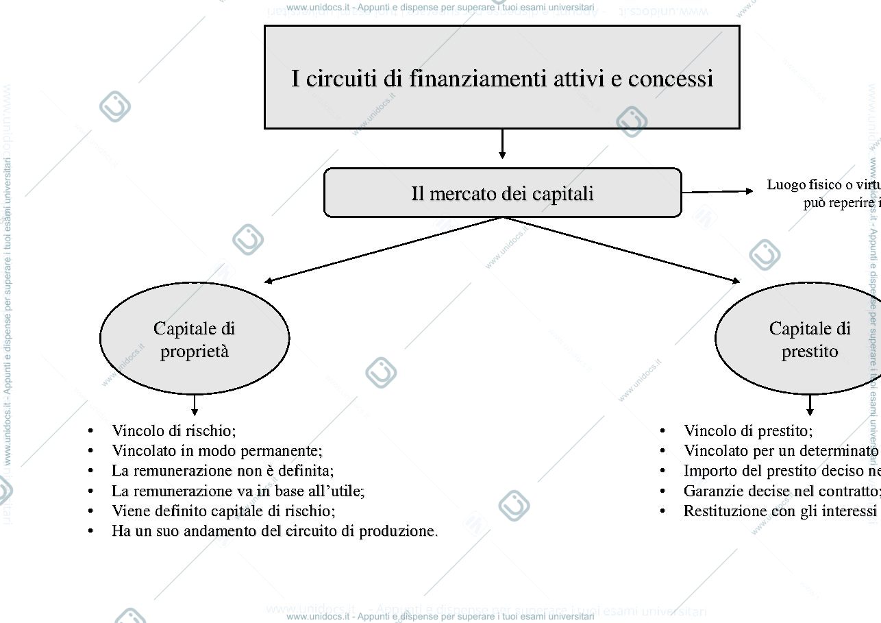 Anteprima pagina 1 — Mappa concettuale del circuito dei finanziamenti attinti e concessi
