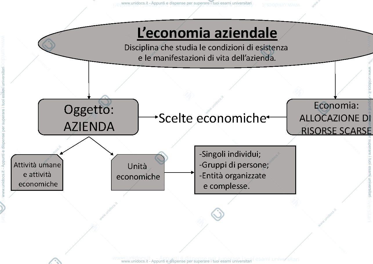 Anteprima pagina 1 — Mappa concettuale dell'Economia aziendale e il concetto di azienda