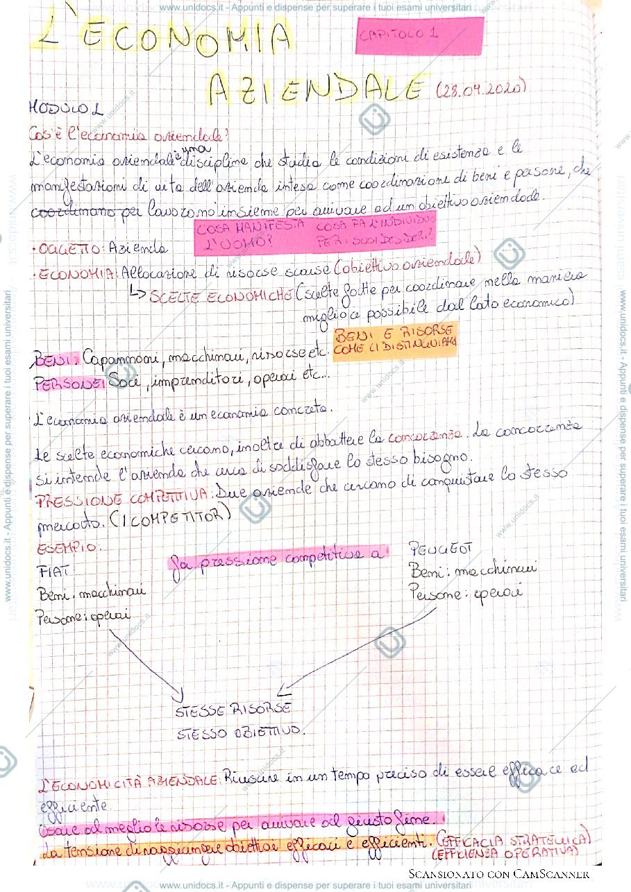 Anteprima pagina 1 — L'Economia aziendale e il concetto di azienda