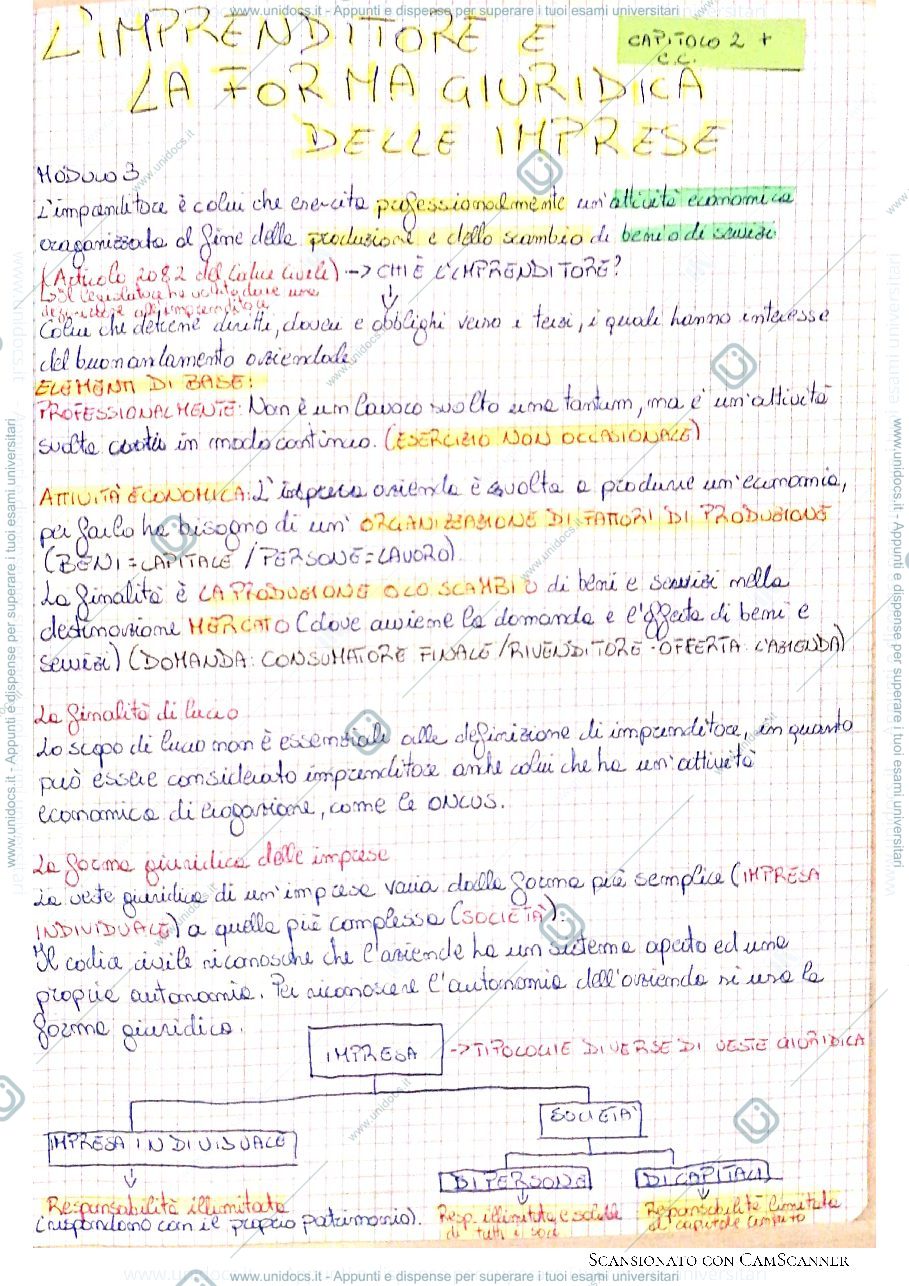 Anteprima pagina 1 — L'imprenditore e la forma giuridica