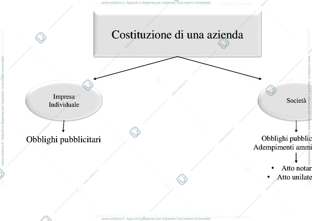 Anteprima pagina 1 — Mappa concettuale della costituzione della società e i sistemi di A&C