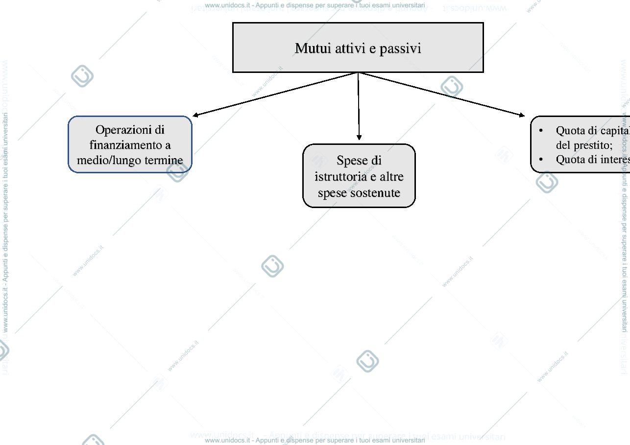 Anteprima pagina 1 — Mappa concettuale-Mutui attivi e passivi