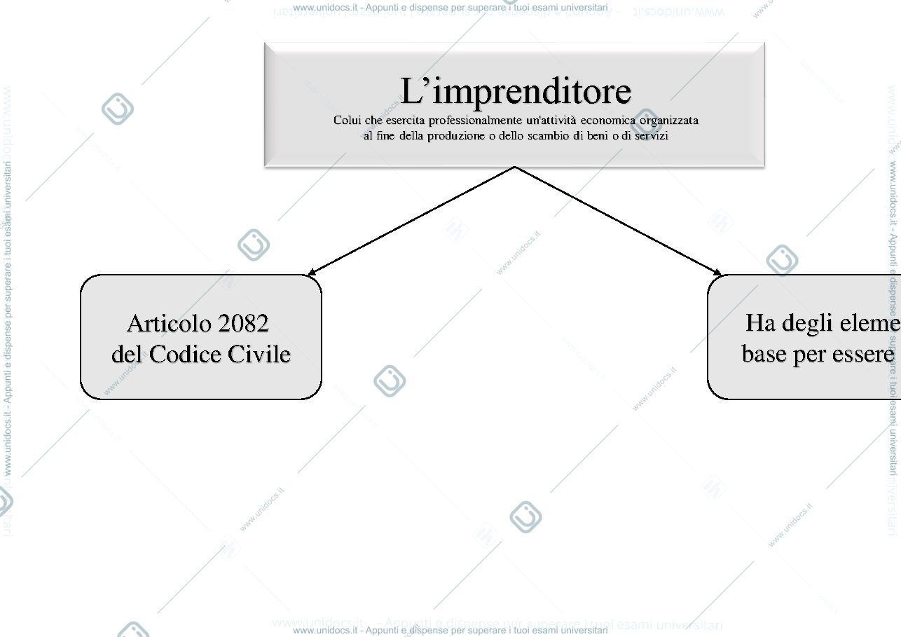 Anteprima pagina 1 — L'imprenditore e la forma giuridica