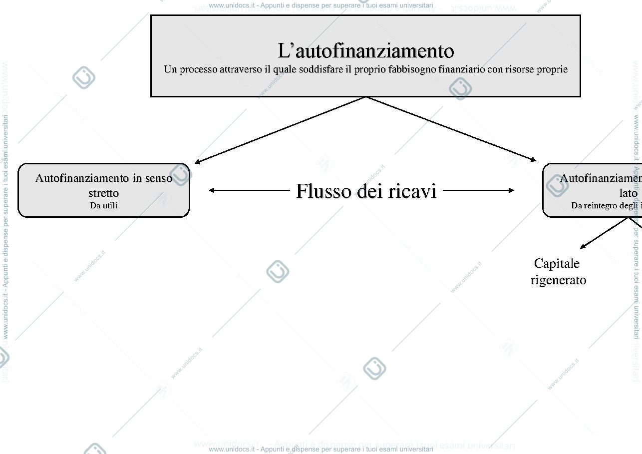 Anteprima pagina 1 — Mappa concettuale dell'autofinanziamento