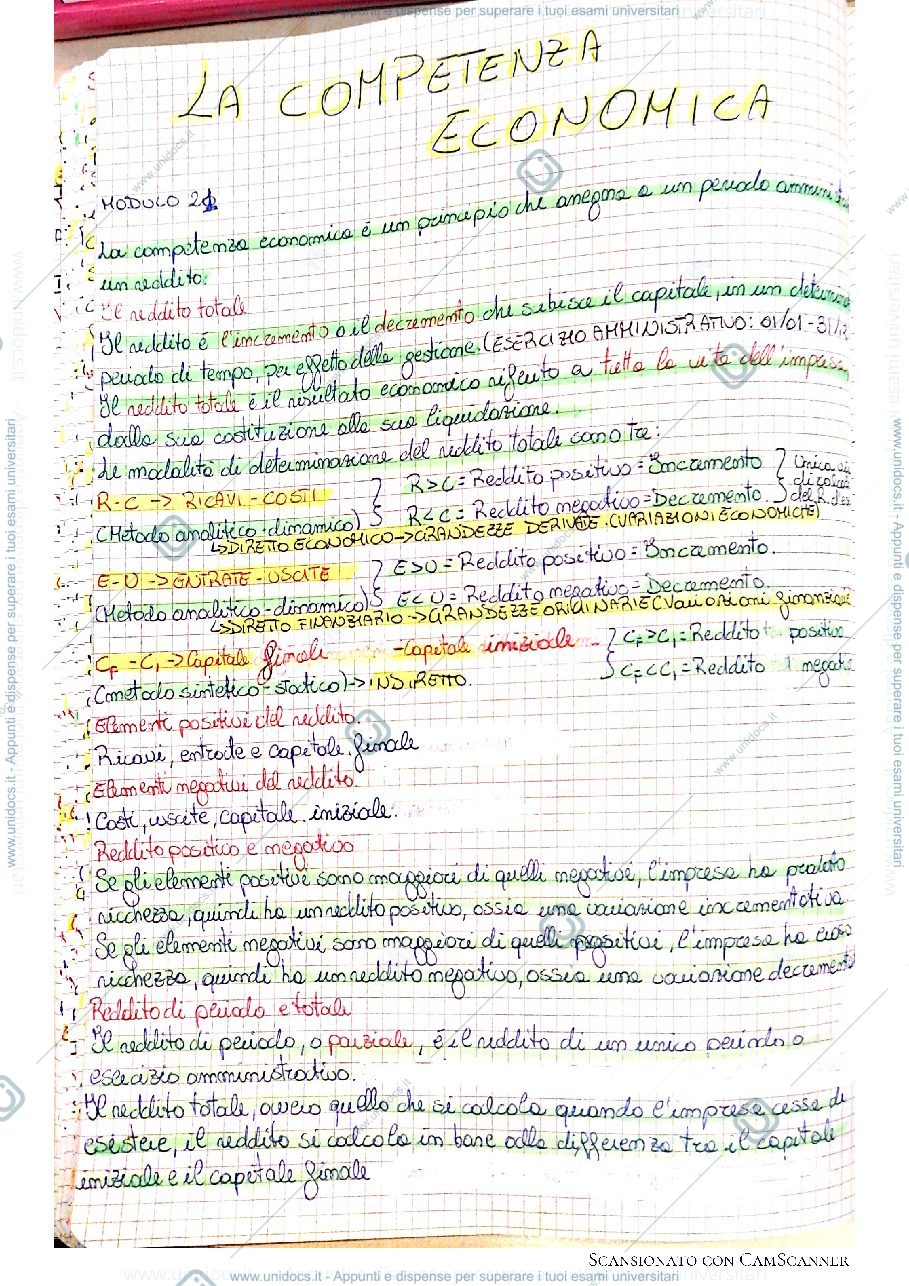 Anteprima pagina 1 — La competenza economica