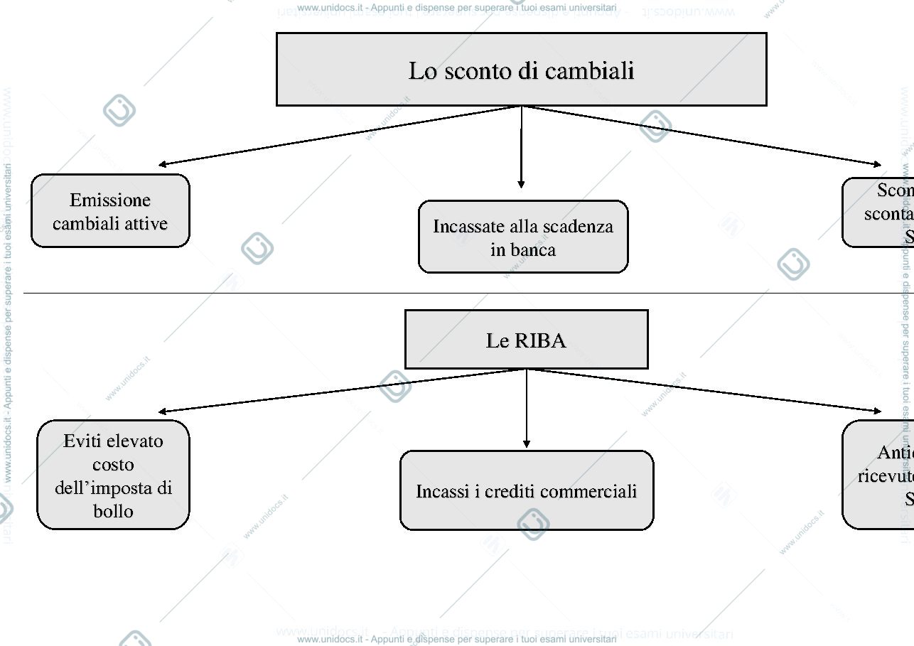 Anteprima pagina 1 — MAPPE CONCETTUALI-Lo sconto cambiali e le RIBA