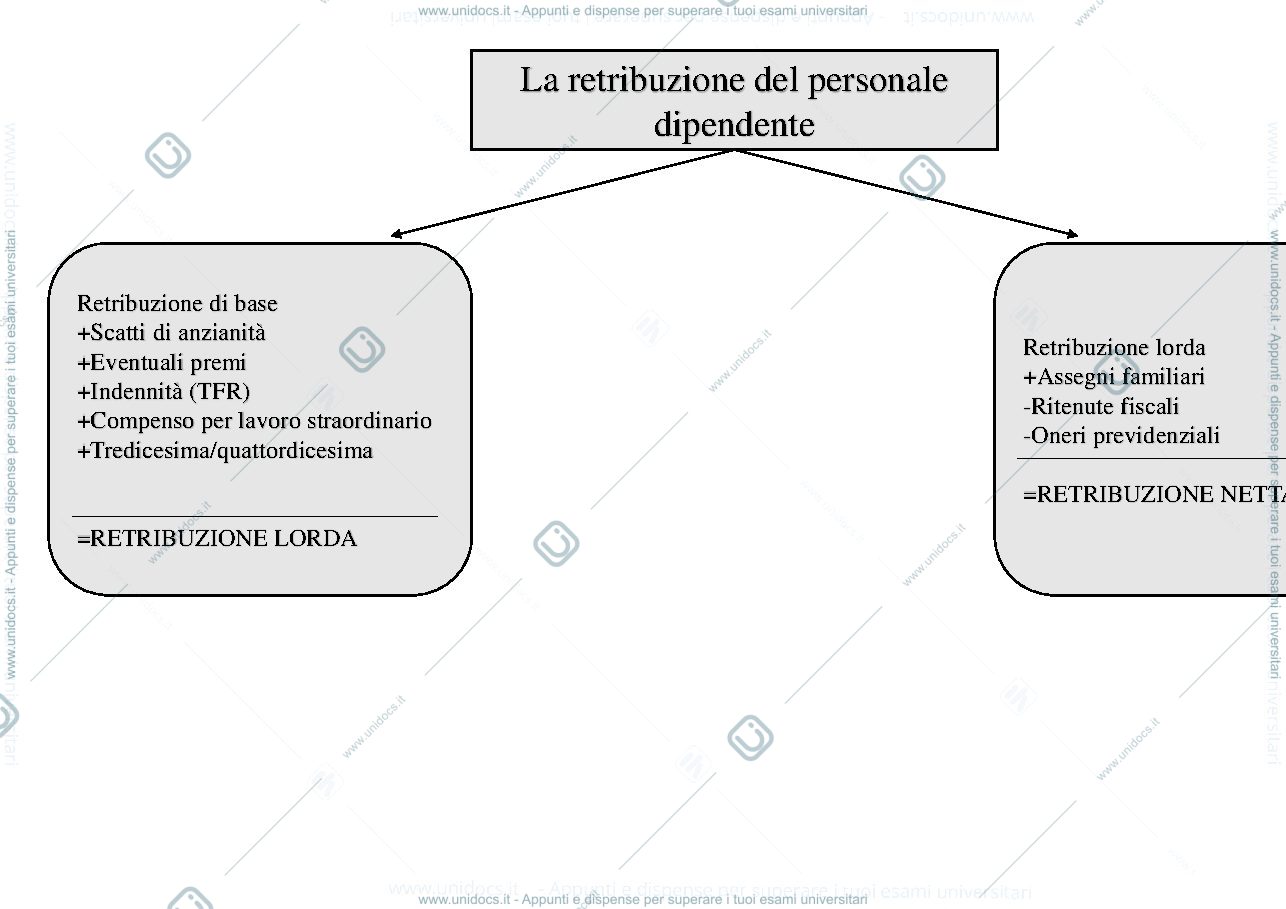 Anteprima pagina 1 — Mappa concettuale retribuzione del personale