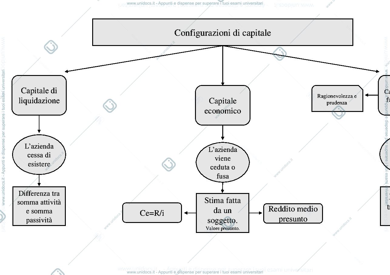 Anteprima pagina 1 — Mappa concettuale tipologie di capitale
